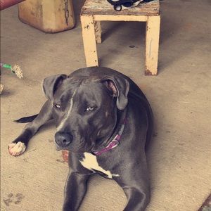 Meet your Posher, Danielle